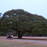 Angkor Thom