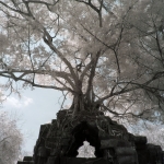 Beng Mealea