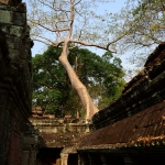 Preah Khan