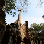 Preah Khan