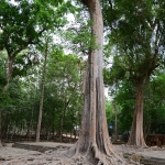 Ta Prohm