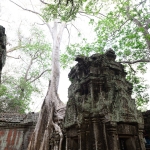 Ta Prohm