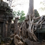 Ta Prohm