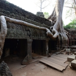 Ta Prohm