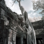 Ta Prohm