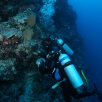 Diving in Maratua