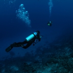 Diving in Maratua