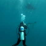 Diving in Maratua