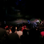 Night Safari