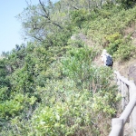 MacLehose Trail Stage 5