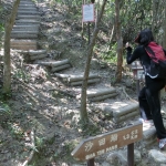 MacLehose Trail turn to Lion Rock Peak