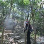 MacLehose Trail turn to Lion Rock Peak