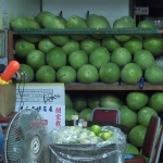 西瓜大王