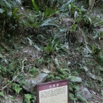 Taroko National Park - Shakadang Trail