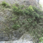 Taroko National Park - Swallow Grotto