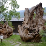 Lintianshan Forestry Cultural Park