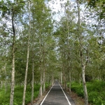 Danongdafu Forest Park