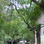 Lintianshan Forestry Cultural Park