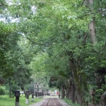 Lintianshan Forestry Cultural Park