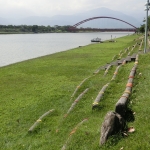 Dongshan river water park