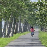 Dongshan river water park