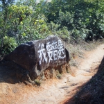 我要真普選