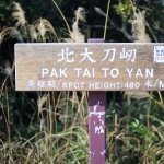 Tai To Yan