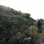 Cape D'Aguilar Peak