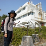 Whale bone at Swire Institute of Marine Science