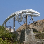 Whale bone at Swire Institute of Marine Science