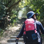 Hong Kong Trail section 2