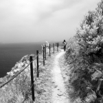 Coastal path