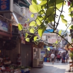 Lamma Island