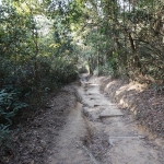 MacLehose Trail Stage 5