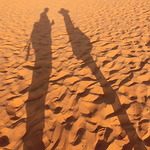 Red Sand Dunes