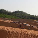 Red Sand Dunes