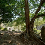 Pongour Waterfall