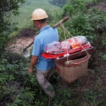 回鄉拜山