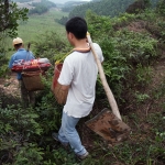 回鄉拜山