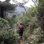 回鄉拜山