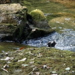 Sekinoo Falls