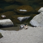 Takachiho Gorge Footpath