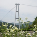 Kokonoe Yume Otsuribashi Bridge