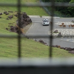 African Safari