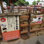 Beppu Jigoku Meguri