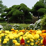 Nokonoshima Island Park