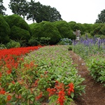 Nokonoshima Island Park