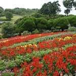 Nokonoshima Island Park