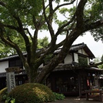 Nokonoshima Island Park