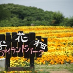 Nokonoshima Island Park